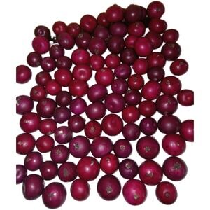 95 Faux Cranberries Decoration Crafts Fall Fruit Artificial Realistic Harvest